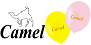 Camel様