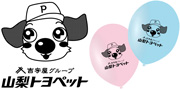 山梨トヨペット様
